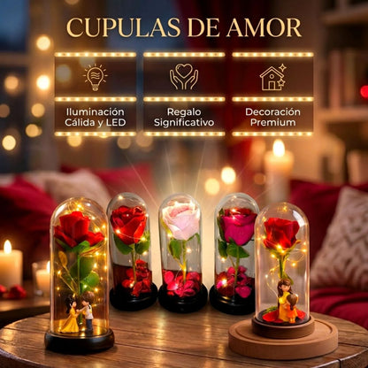 CUPULA ROSA ETERNA  LED ❤️