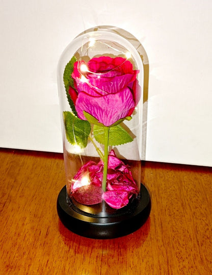 Rosa Eterna en Cúpula