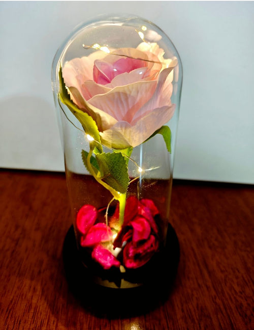 Rosa Eterna en Cúpula