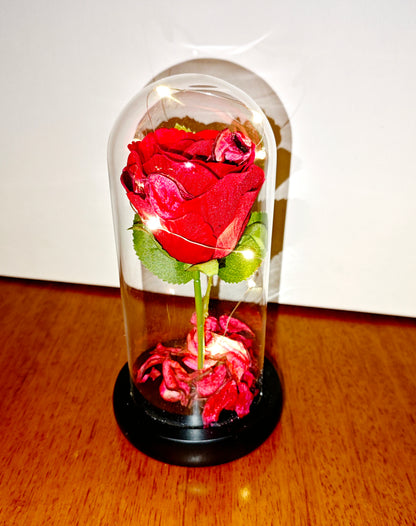 Rosa Eterna en Cúpula